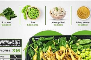 Unleash Your Power: The Vegan Sport Diet Guide! | Discover Delicious Vegan Food, Beauty Swaps, and Zero-Waste Tips for a Greener Life