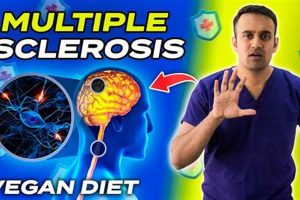 Is a Vegan MS Diet Right For You?: Guide & Benefits | Discover Delicious Vegan Food, Beauty Swaps, and Zero-Waste Tips for a Greener Life