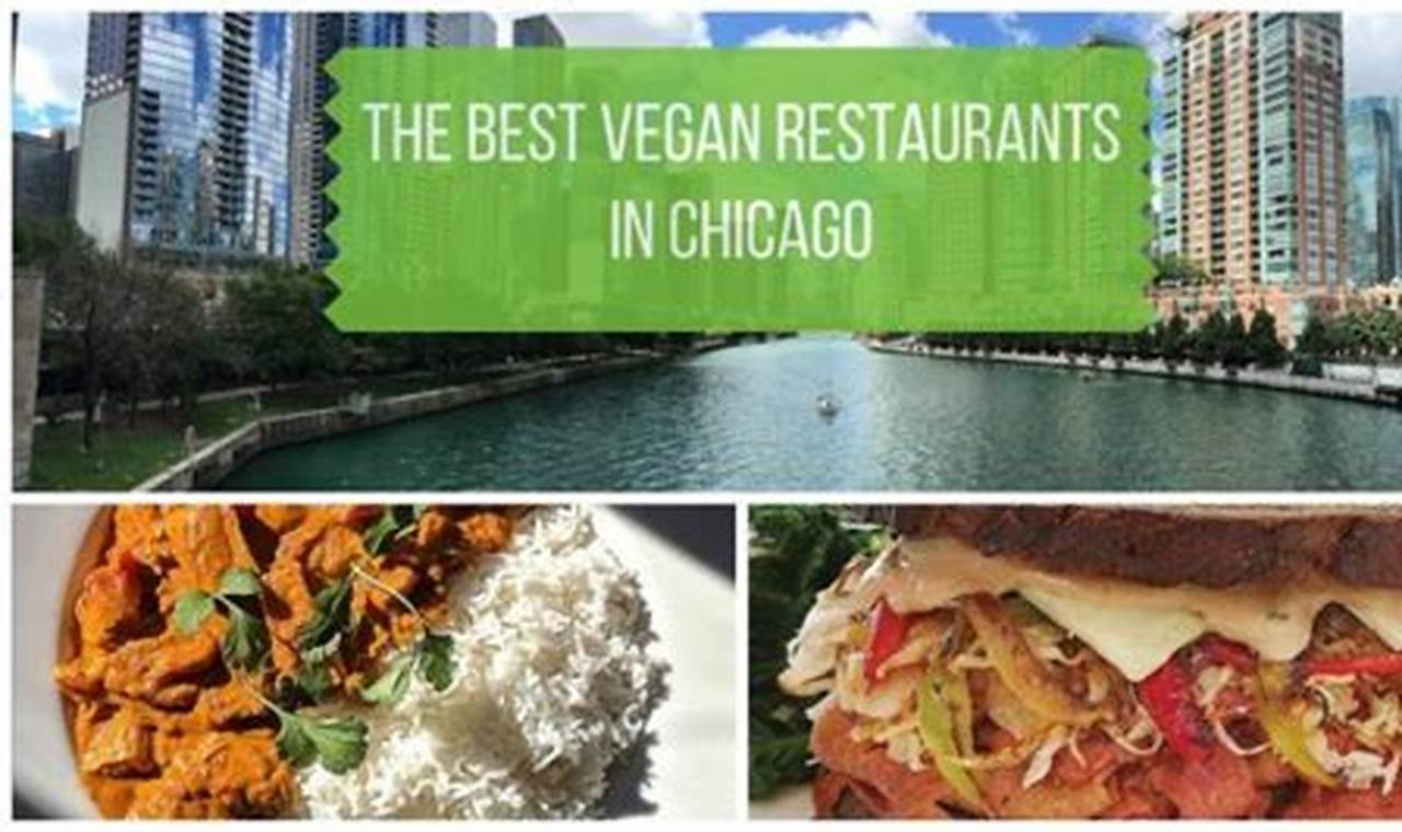 Best Vegan Restaurants in Chicago Suburbs: A Guide! Discover Delicious Vegan Food, Beauty Swaps, and Zero-Waste Tips for a Greener Life Best Vegan Restaurants in Chicago Suburbs: A Guide! | Discover Delicious Vegan Food, Beauty Swaps, and Zero-Waste Tips for a Greener Life
