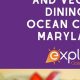 Plant-Based Ocean City, MD: Your Vegan Food Guide | Discover Delicious Vegan Food, Beauty Swaps, and Zero-Waste Tips for a Greener Life