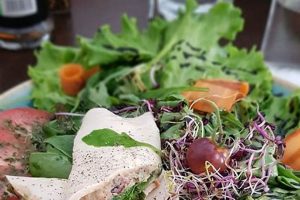 Your Guide to Nice France Vegan Restaurants: Best Eats! Discover Delicious Vegan Food, Beauty Swaps, and Zero-Waste Tips for a Greener Life Your Guide to Nice France Vegan Restaurants: Best Eats! | Discover Delicious Vegan Food, Beauty Swaps, and Zero-Waste Tips for a Greener Life