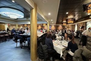 Your Guide: Vegan Restaurant Rockville MD | Best Options Discover Delicious Vegan Food, Beauty Swaps, and Zero-Waste Tips for a Greener Life Your Guide: Vegan Restaurant Rockville MD | Best Options | Discover Delicious Vegan Food, Beauty Swaps, and Zero-Waste Tips for a Greener Life