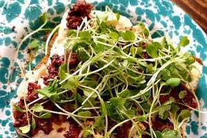 Top Vegan Meal Delivery San Francisco - Easy & Fresh! Discover Delicious Vegan Food, Beauty Swaps, and Zero-Waste Tips for a Greener Life Top Vegan Meal Delivery San Francisco - Easy & Fresh! | Discover Delicious Vegan Food, Beauty Swaps, and Zero-Waste Tips for a Greener Life