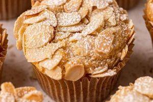 Easy Vegan Almond Meal Muffins Recipe: Healthy & Delicious! Discover Delicious Vegan Food, Beauty Swaps, and Zero-Waste Tips for a Greener Life Easy Vegan Almond Meal Muffins Recipe: Healthy & Delicious! | Discover Delicious Vegan Food, Beauty Swaps, and Zero-Waste Tips for a Greener Life