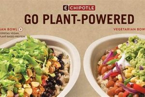 Vegan Guide: Does Chipotle Have Vegan Options? +Tips Discover Delicious Vegan Food, Beauty Swaps, and Zero-Waste Tips for a Greener Life Vegan Guide: Does Chipotle Have Vegan Options? +Tips | Discover Delicious Vegan Food, Beauty Swaps, and Zero-Waste Tips for a Greener Life