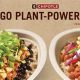 Vegan Guide: Does Chipotle Have Vegan Options? +Tips | Discover Delicious Vegan Food, Beauty Swaps, and Zero-Waste Tips for a Greener Life