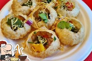 NC Chaat & Dosa: Vegan & Vegetarian Restaurant Reviews! | Discover Delicious Vegan Food, Beauty Swaps, and Zero-Waste Tips for a Greener Life
