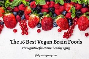 Top Vegan Brain Supplements: Boost Your Mind! Discover Delicious Vegan Food, Beauty Swaps, and Zero-Waste Tips for a Greener Life Top Vegan Brain Supplements: Boost Your Mind! | Discover Delicious Vegan Food, Beauty Swaps, and Zero-Waste Tips for a Greener Life