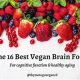 Top Vegan Brain Supplements: Boost Your Mind! | Discover Delicious Vegan Food, Beauty Swaps, and Zero-Waste Tips for a Greener Life