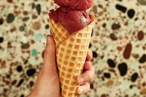 Best Vegan Ice Cream Portland OR: Local & Delicious! Discover Delicious Vegan Food, Beauty Swaps, and Zero-Waste Tips for a Greener Life Best Vegan Ice Cream Portland OR: Local & Delicious! | Discover Delicious Vegan Food, Beauty Swaps, and Zero-Waste Tips for a Greener Life
