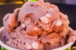 Best Vegan Ice Cream in Raleigh, NC: Scoops & More Discover Delicious Vegan Food, Beauty Swaps, and Zero-Waste Tips for a Greener Life Best Vegan Ice Cream in Raleigh, NC: Scoops & More | Discover Delicious Vegan Food, Beauty Swaps, and Zero-Waste Tips for a Greener Life