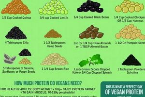 Unlock Vegan Protein: Source Crossword Puzzles Discover Delicious Vegan Food, Beauty Swaps, and Zero-Waste Tips for a Greener Life Unlock Vegan Protein: Source Crossword Puzzles | Discover Delicious Vegan Food, Beauty Swaps, and Zero-Waste Tips for a Greener Life