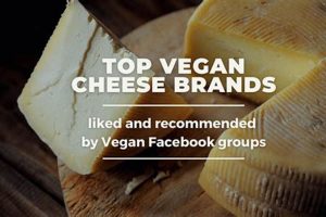 Discover: Top Vegan Cheese Brands Today! Discover Delicious Vegan Food, Beauty Swaps, and Zero-Waste Tips for a Greener Life Discover: Top Vegan Cheese Brands Today! | Discover Delicious Vegan Food, Beauty Swaps, and Zero-Waste Tips for a Greener Life