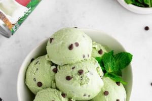 Best Vegan Mint Chocolate Chip Ice Cream: Recipes & Reviews Discover Delicious Vegan Food, Beauty Swaps, and Zero-Waste Tips for a Greener Life Best Vegan Mint Chocolate Chip Ice Cream: Recipes & Reviews | Discover Delicious Vegan Food, Beauty Swaps, and Zero-Waste Tips for a Greener Life