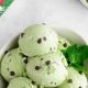 Best Vegan Mint Chocolate Chip Ice Cream: Recipes & Reviews | Discover Delicious Vegan Food, Beauty Swaps, and Zero-Waste Tips for a Greener Life