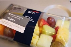 Fly Vegan: British Airways Vegan Meal Guide & Tips Discover Delicious Vegan Food, Beauty Swaps, and Zero-Waste Tips for a Greener Life Fly Vegan: British Airways Vegan Meal Guide & Tips | Discover Delicious Vegan Food, Beauty Swaps, and Zero-Waste Tips for a Greener Life