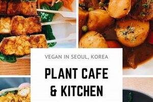 Find Your Best Vegan Lunch Near Me: Top Spots! Discover Delicious Vegan Food, Beauty Swaps, and Zero-Waste Tips for a Greener Life Find Your Best Vegan Lunch Near Me: Top Spots! | Discover Delicious Vegan Food, Beauty Swaps, and Zero-Waste Tips for a Greener Life