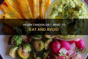 Candida & Vegan Diet: Plant-Based Yeast Control Discover Delicious Vegan Food, Beauty Swaps, and Zero-Waste Tips for a Greener Life Candida & Vegan Diet: Plant-Based Yeast Control | Discover Delicious Vegan Food, Beauty Swaps, and Zero-Waste Tips for a Greener Life