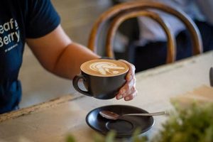 Best Vegan Coffee Near Me: Find Your Perfect Cup! Discover Delicious Vegan Food, Beauty Swaps, and Zero-Waste Tips for a Greener Life Best Vegan Coffee Near Me: Find Your Perfect Cup! | Discover Delicious Vegan Food, Beauty Swaps, and Zero-Waste Tips for a Greener Life