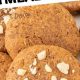 Easy Oatmeal Peanut Butter Vegan Cookies [Recipe] | Discover Delicious Vegan Food, Beauty Swaps, and Zero-Waste Tips for a Greener Life