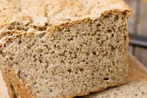 The Best Grain-Free Vegan Bread Recipes (Easy!) Discover Delicious Vegan Food, Beauty Swaps, and Zero-Waste Tips for a Greener Life The Best Grain-Free Vegan Bread Recipes (Easy!) | Discover Delicious Vegan Food, Beauty Swaps, and Zero-Waste Tips for a Greener Life