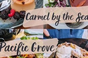 Best Monterey Vegan Restaurants: Guide & Directory Discover Delicious Vegan Food, Beauty Swaps, and Zero-Waste Tips for a Greener Life Best Monterey Vegan Restaurants: Guide & Directory | Discover Delicious Vegan Food, Beauty Swaps, and Zero-Waste Tips for a Greener Life