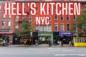 Best Vegan Restaurants in Hell's Kitchen, NYC - Guide Discover Delicious Vegan Food, Beauty Swaps, and Zero-Waste Tips for a Greener Life Best Vegan Restaurants in Hell's Kitchen, NYC - Guide | Discover Delicious Vegan Food, Beauty Swaps, and Zero-Waste Tips for a Greener Life