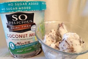 Indulge! Vegan Ice Cream No Sugar Recipes & Brands Discover Delicious Vegan Food, Beauty Swaps, and Zero-Waste Tips for a Greener Life Indulge! Vegan Ice Cream No Sugar Recipes & Brands | Discover Delicious Vegan Food, Beauty Swaps, and Zero-Waste Tips for a Greener Life