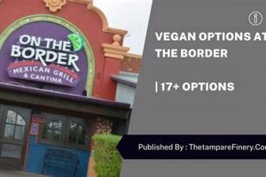 Your Guide: On The Border Vegan Options + Tips Discover Delicious Vegan Food, Beauty Swaps, and Zero-Waste Tips for a Greener Life Your Guide: On The Border Vegan Options + Tips | Discover Delicious Vegan Food, Beauty Swaps, and Zero-Waste Tips for a Greener Life