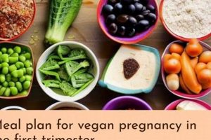 The Best Vegan Pregnancy Meal Plan: A Complete Guide Discover Delicious Vegan Food, Beauty Swaps, and Zero-Waste Tips for a Greener Life The Best Vegan Pregnancy Meal Plan: A Complete Guide | Discover Delicious Vegan Food, Beauty Swaps, and Zero-Waste Tips for a Greener Life
