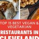 Top-Rated Best Vegan Restaurants in Cleveland Guide | Discover Delicious Vegan Food, Beauty Swaps, and Zero-Waste Tips for a Greener Life