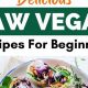 Easy Raw Vegan Recipes for Beginners: A Simple Guide | Discover Delicious Vegan Food, Beauty Swaps, and Zero-Waste Tips for a Greener Life