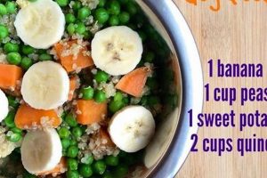 The Ultimate Guide: Homemade Vegan Dog Food Recipes Discover Delicious Vegan Food, Beauty Swaps, and Zero-Waste Tips for a Greener Life The Ultimate Guide: Homemade Vegan Dog Food Recipes | Discover Delicious Vegan Food, Beauty Swaps, and Zero-Waste Tips for a Greener Life