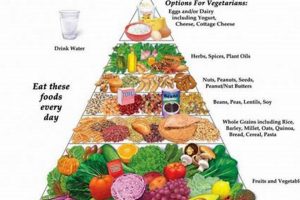 Guide to Vegan Food Pyramid: Diet & Health Discover Delicious Vegan Food, Beauty Swaps, and Zero-Waste Tips for a Greener Life Guide to Vegan Food Pyramid: Diet & Health | Discover Delicious Vegan Food, Beauty Swaps, and Zero-Waste Tips for a Greener Life