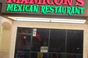 Best Vegan Mexican: Mamicons Restaurant & More! Discover Delicious Vegan Food, Beauty Swaps, and Zero-Waste Tips for a Greener Life Best Vegan Mexican: Mamicons Restaurant & More! | Discover Delicious Vegan Food, Beauty Swaps, and Zero-Waste Tips for a Greener Life
