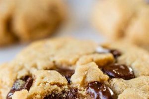 Best Vegan Chocolate Chip Peanut Butter Cookies Recipe Ever! | Discover Delicious Vegan Food, Beauty Swaps, and Zero-Waste Tips for a Greener Life