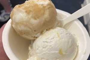 The Best Vegan Ice Cream in Columbus, OH: Guide & More Discover Delicious Vegan Food, Beauty Swaps, and Zero-Waste Tips for a Greener Life The Best Vegan Ice Cream in Columbus, OH: Guide & More | Discover Delicious Vegan Food, Beauty Swaps, and Zero-Waste Tips for a Greener Life