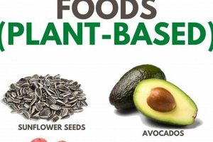 Fueling Vegan: High Calorie Dense Vegan Foods (Power Up!) | Discover Delicious Vegan Food, Beauty Swaps, and Zero-Waste Tips for a Greener Life