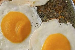 Vegan Wonder: What are Vegan Eggs Made Of? Recipes Inside! | Discover Delicious Vegan Food, Beauty Swaps, and Zero-Waste Tips for a Greener Life
