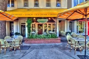 Top Vegan Restaurants in Winter Park, FL - Guide & Reviews Discover Delicious Vegan Food, Beauty Swaps, and Zero-Waste Tips for a Greener Life Top Vegan Restaurants in Winter Park, FL - Guide & Reviews | Discover Delicious Vegan Food, Beauty Swaps, and Zero-Waste Tips for a Greener Life