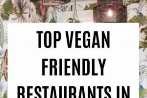 Your Guide to Vegan Options in San Diego (2024) Discover Delicious Vegan Food, Beauty Swaps, and Zero-Waste Tips for a Greener Life Your Guide to Vegan Options in San Diego (2024) | Discover Delicious Vegan Food, Beauty Swaps, and Zero-Waste Tips for a Greener Life