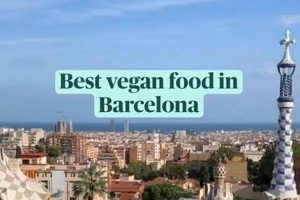 Top Vegan Havens: Best Places to Travel Vegan for Foodies Discover Delicious Vegan Food, Beauty Swaps, and Zero-Waste Tips for a Greener Life Top Vegan Havens: Best Places to Travel Vegan for Foodies | Discover Delicious Vegan Food, Beauty Swaps, and Zero-Waste Tips for a Greener Life