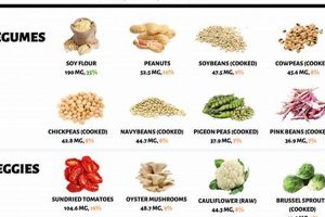 Vegan Diet Boost: How to Get Enough Choline Discover Delicious Vegan Food, Beauty Swaps, and Zero-Waste Tips for a Greener Life Vegan Diet Boost: How to Get Enough Choline | Discover Delicious Vegan Food, Beauty Swaps, and Zero-Waste Tips for a Greener Life