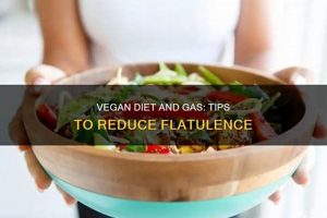 Stop Vegan Diet Flatulence: Tips & Relief | Discover Delicious Vegan Food, Beauty Swaps, and Zero-Waste Tips for a Greener Life