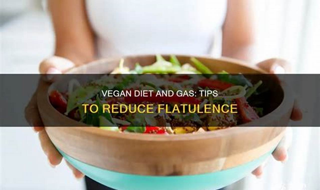 Stop Vegan Diet Flatulence: Tips & Relief Discover Delicious Vegan Food, Beauty Swaps, and Zero-Waste Tips for a Greener Life Stop Vegan Diet Flatulence: Tips & Relief | Discover Delicious Vegan Food, Beauty Swaps, and Zero-Waste Tips for a Greener Life