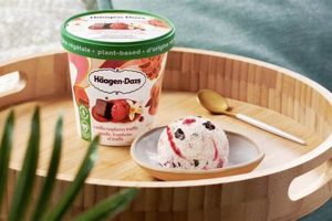 Indulge Vegan: Hagen-Dazs Dairy-Free Ice Cream Review Discover Delicious Vegan Food, Beauty Swaps, and Zero-Waste Tips for a Greener Life Indulge Vegan: Hagen-Dazs Dairy-Free Ice Cream Review | Discover Delicious Vegan Food, Beauty Swaps, and Zero-Waste Tips for a Greener Life