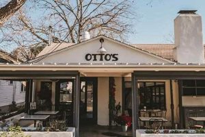 Discover Vegan Food Fredericksburg TX: Your Guide! | Discover Delicious Vegan Food, Beauty Swaps, and Zero-Waste Tips for a Greener Life