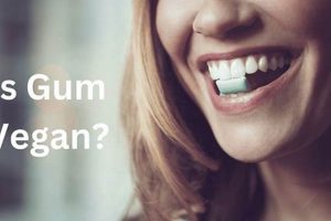 Is Gum Vegan? The Vegan Chewing Gum Guide | Discover Delicious Vegan Food, Beauty Swaps, and Zero-Waste Tips for a Greener Life