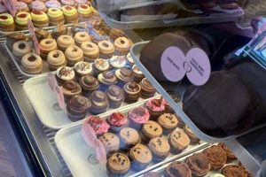 Find Your Vegan Bakery in Disney Springs + Treats! | Discover Delicious Vegan Food, Beauty Swaps, and Zero-Waste Tips for a Greener Life