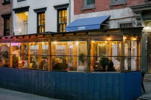 Best Vegan Restaurants in Greenwich Village NYC: Guide! | Discover Delicious Vegan Food, Beauty Swaps, and Zero-Waste Tips for a Greener Life